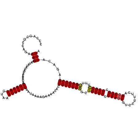 secondary structure