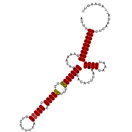 secondary structure