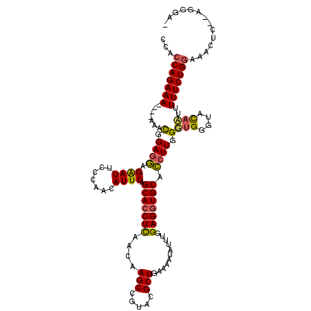 secondary structure