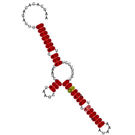 secondary structure