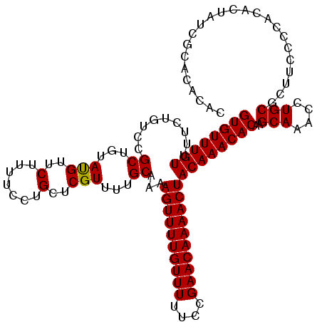 secondary structure