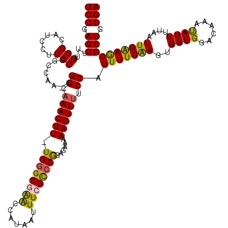 secondary structure