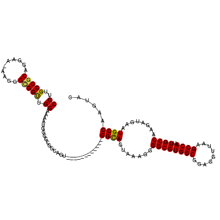 secondary structure