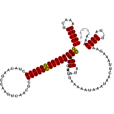 secondary structure