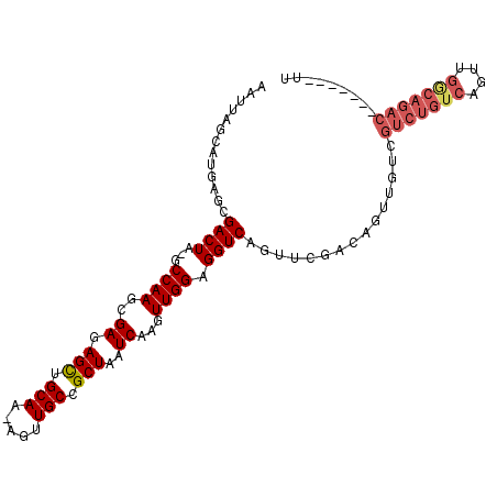 secondary structure