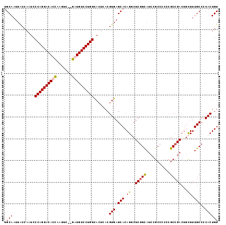 dotplot