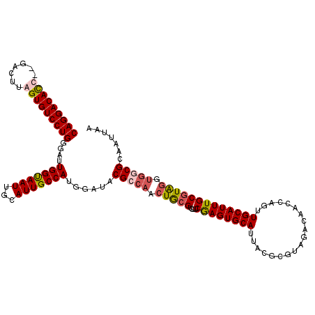 secondary structure
