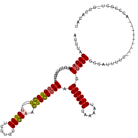 secondary structure