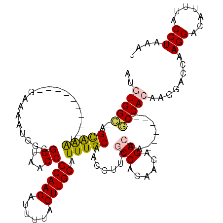secondary structure