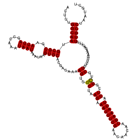 secondary structure
