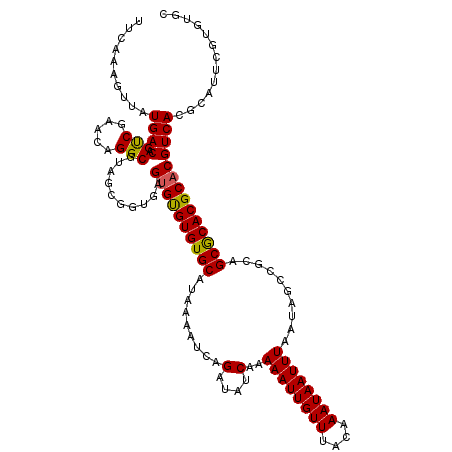 secondary structure