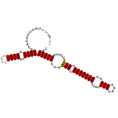secondary structure