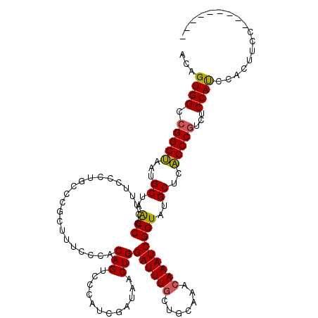 secondary structure
