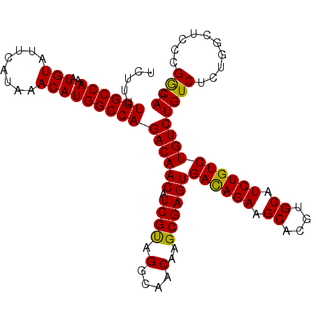 secondary structure