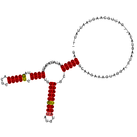 secondary structure