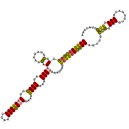 secondary structure