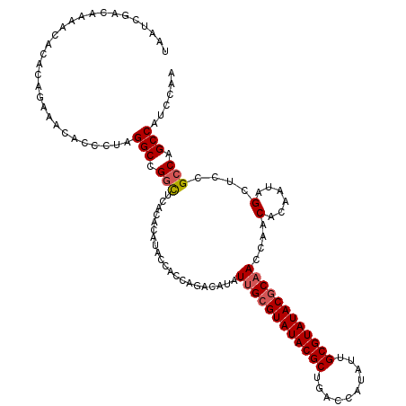 secondary structure