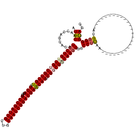 secondary structure