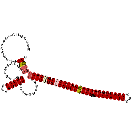 secondary structure