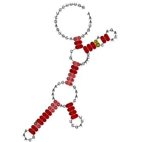 secondary structure