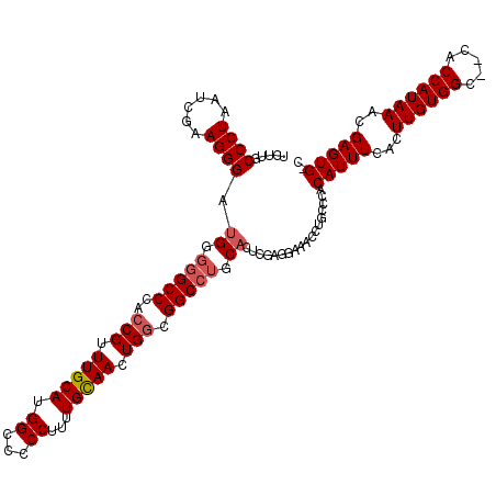 secondary structure