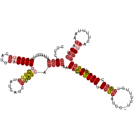 secondary structure