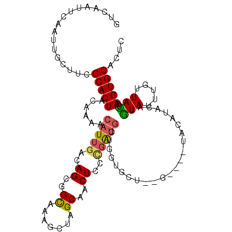 secondary structure