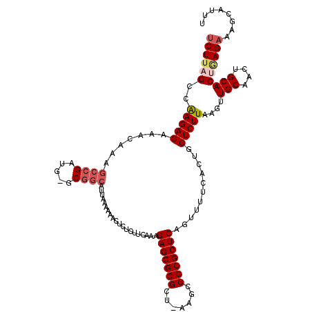 secondary structure