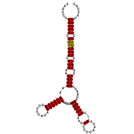 secondary structure