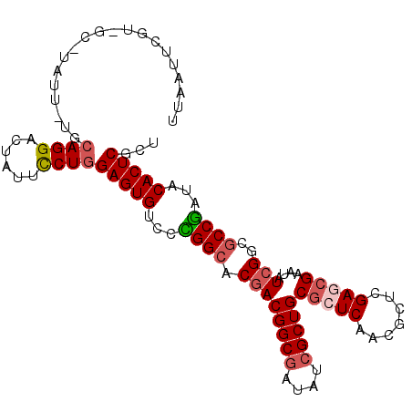 secondary structure