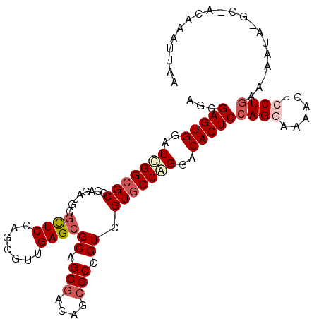 secondary structure
