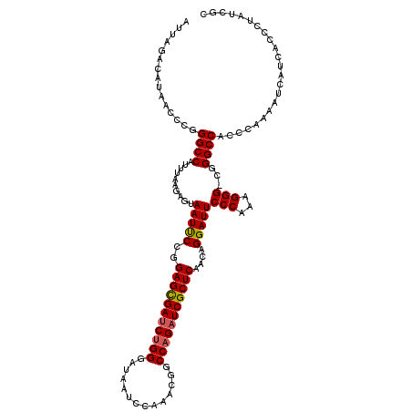 secondary structure