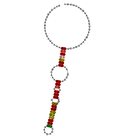 secondary structure