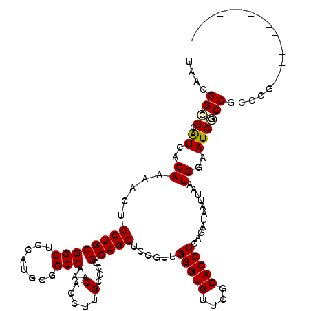 secondary structure