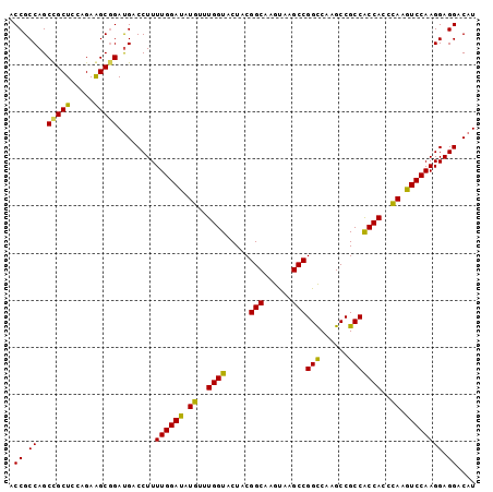 dotplot