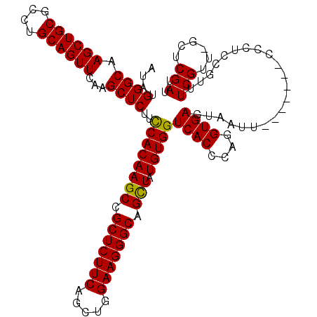 secondary structure