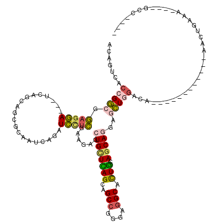secondary structure