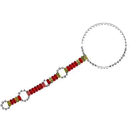 secondary structure
