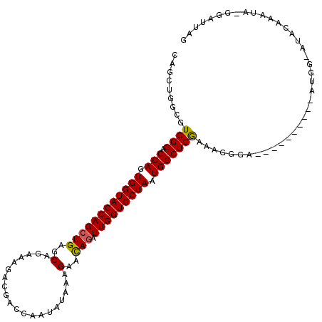 secondary structure