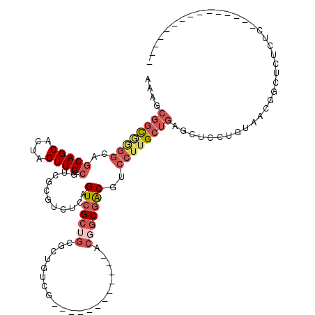 secondary structure