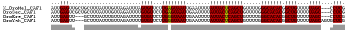 alignment