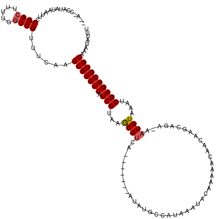 secondary structure