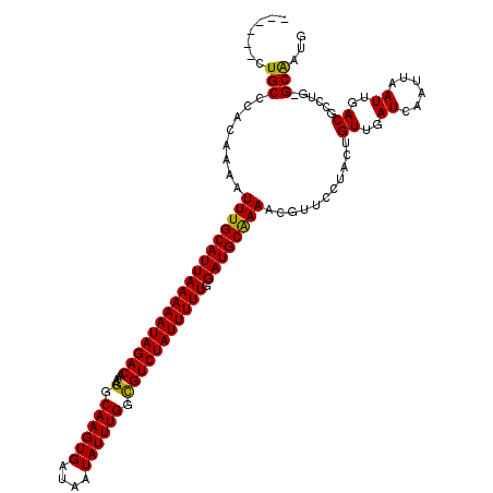 secondary structure