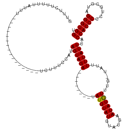 secondary structure