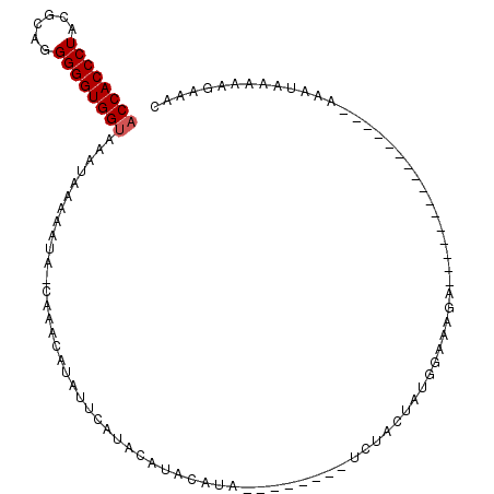 secondary structure