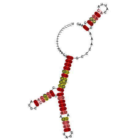 secondary structure