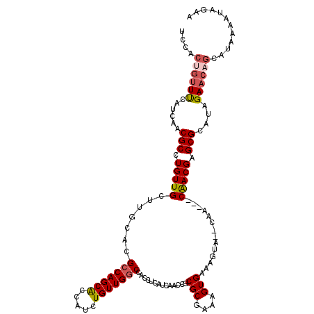 secondary structure