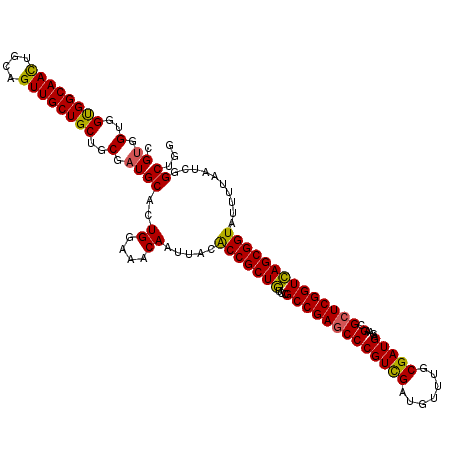secondary structure