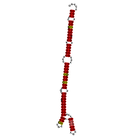 secondary structure