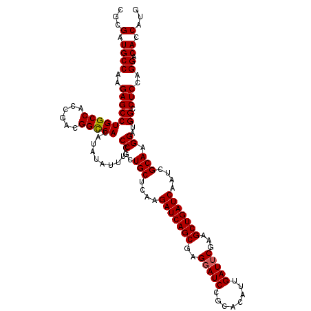 secondary structure